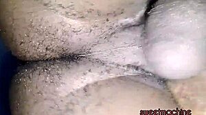 Sweetmachine Update 4 Hints at Sultry Black Curves Jan 2025