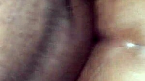 tasha rides big daddy dick to creamy finish with intense orgasm