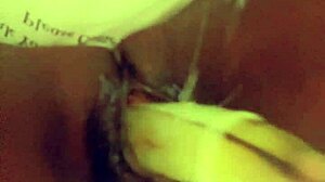 ass and pussy stuffed with fresh veggies for fun