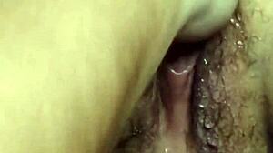 ผู้ใหญ่