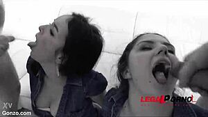 francesca dicaprio and francys belle tease with anal dp gaping in brazilian 4some cumshots