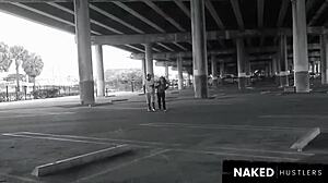 brunette amateur sneaks wild public tease on huge black cock