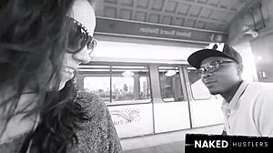 brunette amateur sneaks wild public tease on huge black cock