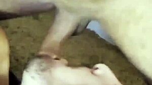 hey paulista girl wanna lick my carioca ass then suck cock home?