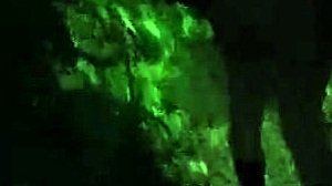 caraca que puta fofa eu peguei no meio da selva pra foder na natureza!