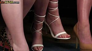 cfnm femdom milfs stroke small cocks in heels stockings group dirty talk session?
