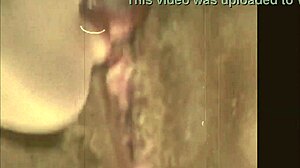 uncover the hidden passions of vintage hairy lesbians in antique beaver play
