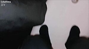 burglar, caught breaking in, now worship this ebony big ass bbc?