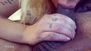 scarlett love sucks first american black cock