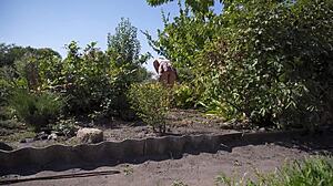 neighbor bends over in garden flashing thong upskirt to spy cam