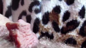 WATCH THIS HUGE CLIT PULSE IN ORGASM CLOSEUP!