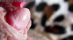 WATCH THIS HUGE CLIT PULSE IN ORGASM CLOSEUP!