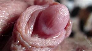 WATCH THIS HUGE CLIT PULSE IN ORGASM CLOSEUP!