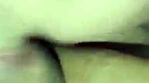 WATCH ME DEVOUR MY WIFE'S JUICY FAT PUSSY!