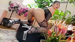 innocent-looking brunette liz jordan in fishnets oils up pussy and rides cock pov missionary wild