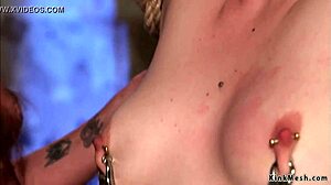 Bound lesbians whipped spanked choked then anal pounded hard