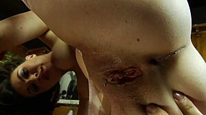 business exec tiffany doll stuffs ass with buttplug toys and creampie cock