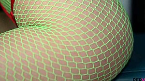 Liz Rainbow gets pervy showing off her puffy nipples and toy play in fishnets
