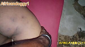 Ever seen a big ebony ass stretched by massive cock doggystyle?