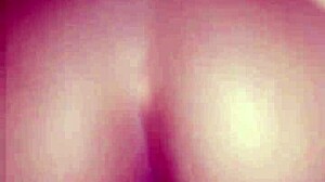 brazilian cutie rides cock reverse cowgirl in bedroom