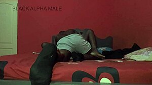 damn that african sweat during rough pussy pounding 🔥 full vid on sheer!