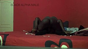 damn that african sweat during rough pussy pounding 🔥 full vid on sheer!