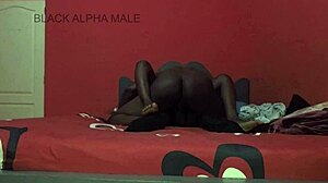 damn that african sweat during rough pussy pounding 🔥 full vid on sheer!