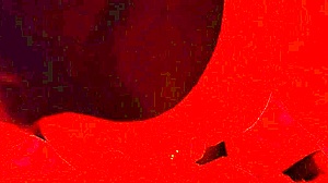watch me slurp this fat cock up close till it explodes cum in mouth