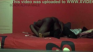 damn that african sweat during rough pussy pounding 🔥 full vid on sheer!
