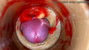camera shoved deep in my tight pussy catching that huge cum explosion blast 4k