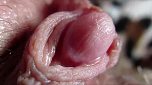 big clit throbs to intense closeup orgasm