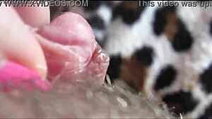 big clit throbs to intense closeup orgasm