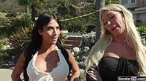 i promise your wife won't detect any pussy scent on you after our bareback shemale fun