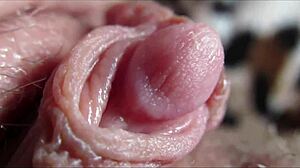 big clit throbs to intense closeup orgasm