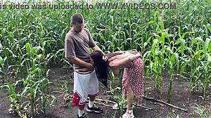 i fucked my horny stepsister hard in the rainy cornfield and creamed her ass