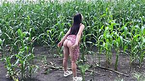 i fucked my horny stepsister hard in the rainy cornfield and creamed her ass