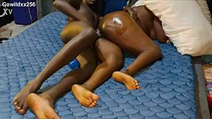 I catch my big ass curvy cousin sleeping and ravage her pussy