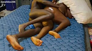 I catch my big ass curvy cousin sleeping and ravage her pussy