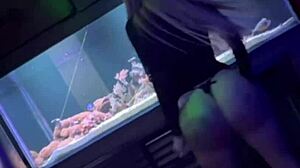Swing house visit turns into huge cock anal pounding frenzy