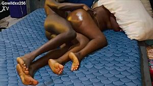 I catch my big ass curvy cousin sleeping and ravage her pussy