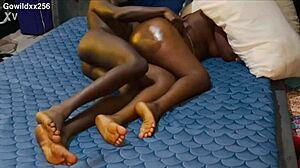 I catch my big ass curvy cousin sleeping and ravage her pussy