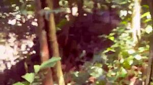 PERUVIAN Redhead GULPS Stranger CUM in Jungle Creampie!