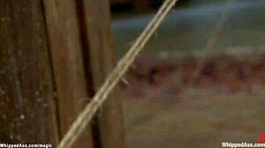 Busty Milf Bound Spanked Whipped And Toyed Hard
