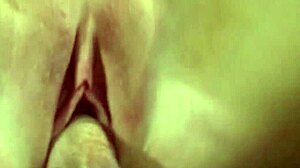 Swinger Wife Loves Wedding Anal Exposure!