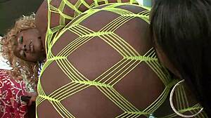 black bbw queens make tiny white dick explode quick