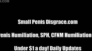 your tiny cock pathetic sph femdom humiliation mistress