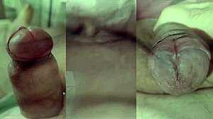 my tiny foreskin dick spurts best while ex teen cums hard on her juicy pussy