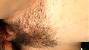 Sıcak bir günde köpeğimi yıkadım. Sırılsıklam oldu ve oynaklaştı.