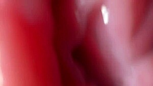 Brunette remaja 18+ buka lebar pussy dekat dengan bual kotor untuk awak. Ia mentah dan benar!