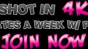 חורגות קולג'יות בסיכון עם החורג